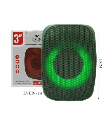 اسپیکر شارژی قابل حمل مدل EVER - 714