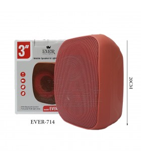 اسپیکر شارژی قابل حمل مدل EVER - 714