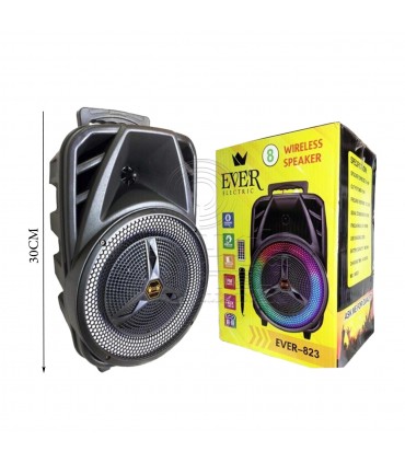 اسپیکر شارژی قابل حمل مدل EVER - 823