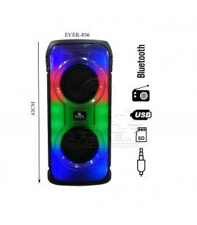 اسپیکر شارژی قابل حمل مدل EVER - 856
