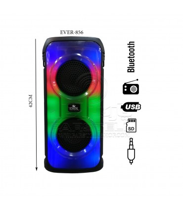 اسپیکر شارژی قابل حمل مدل EVER - 856