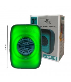 اسپیکر شارژی قابل حمل مدل EVER - 715
