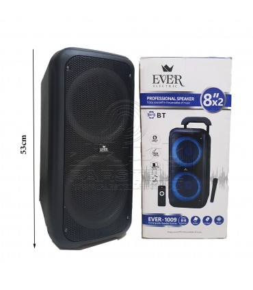 اسپیکر شارژی قابل حمل مدل EVER - 1009