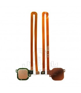 فلت اثر انگشت هوآوی HUAWEI HONOR 6X